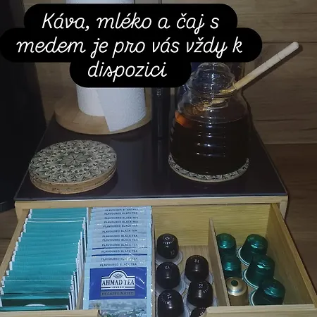 Apartmán Ostrůvek 206 *