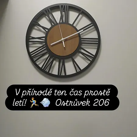 Ostrůvek 206 *